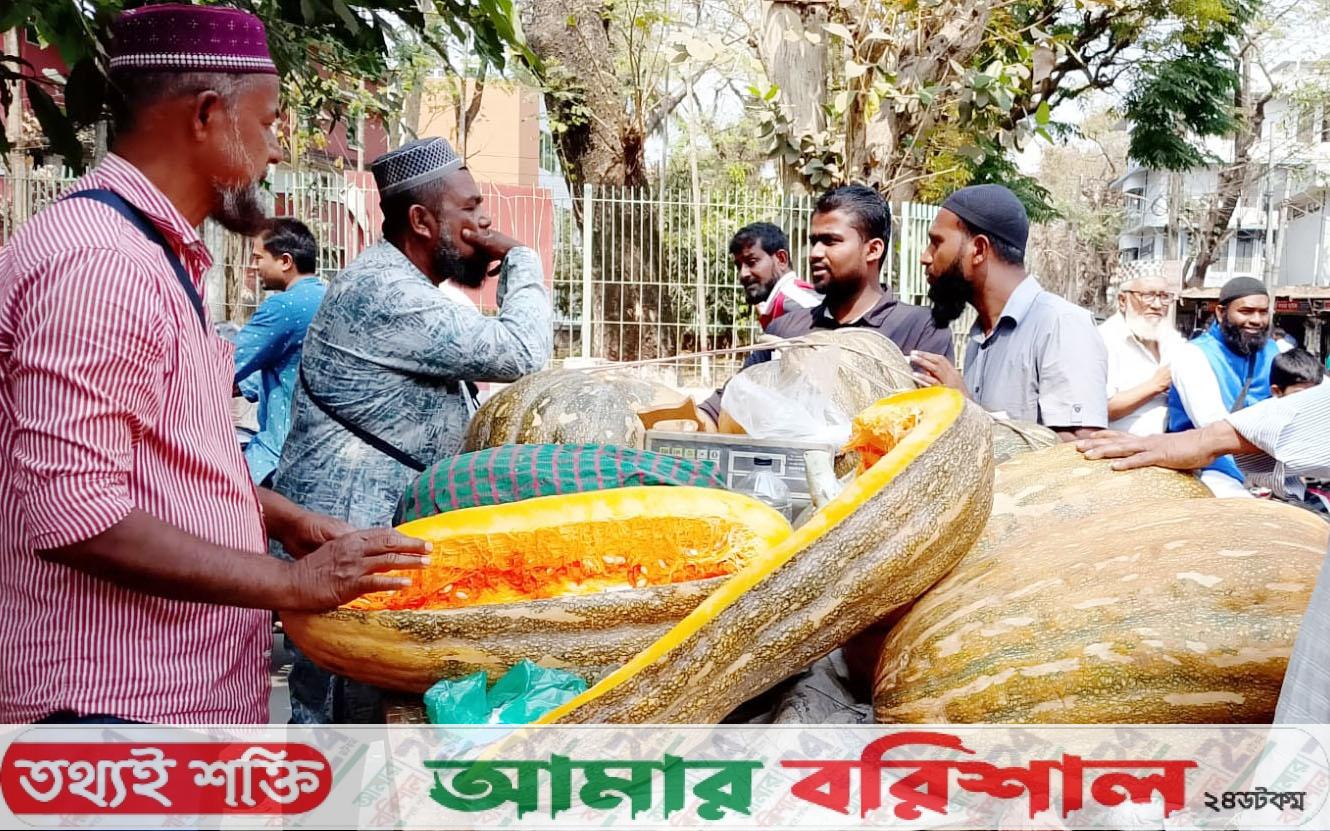 হঠাৎ বরিশালের বাজারে লিবিয়ান মিষ্টি কুমড়ার রাজত্ব!