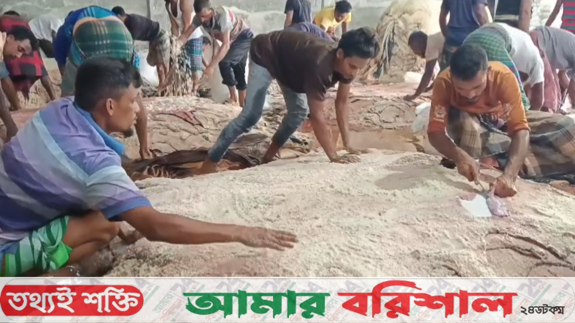 বরিশালে চলছে পশুর চামড়ায় লবণজাতকরণের ব্যস্ততা