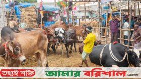 শেষ মুহূর্তে বিক্রি বাড়লেও হাসি নেই বিক্রেতাদের মুখে