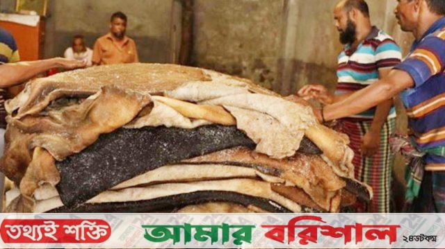 সরকারি দর বাড়লেও কম দামেই বিক্রি হচ্ছে চামড়া