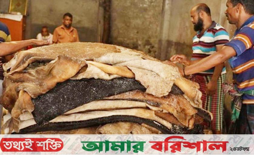 সরকারি দর বাড়লেও কম দামেই বিক্রি হচ্ছে চামড়া