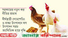 চতুর্মুখী সংকটে পোল্ট্রি শিল্প