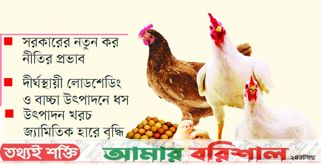 চতুর্মুখী সংকটে পোল্ট্রি শিল্প