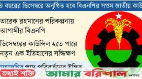 সরকার ও দলের পৃথক সত্তা
