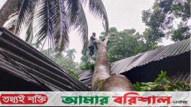 বরিশালে কালবৈশাখীর তাণ্ডব, বিদ্যুৎহীন ৫ উপজেলা