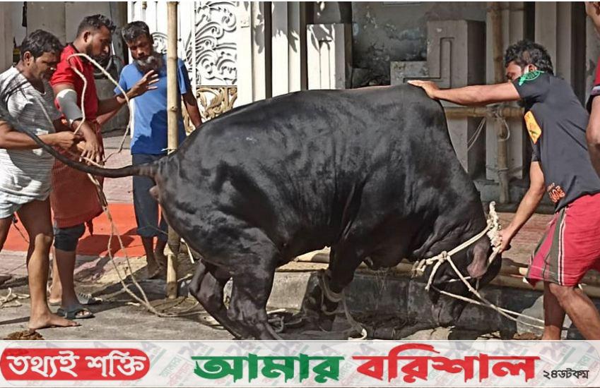 ঈদের দ্বিতীয় দিনেও চলছে পশু কোরবানি