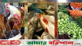নিত্যপণ্যের বাজারে চড়া দামের ঘোড়া
