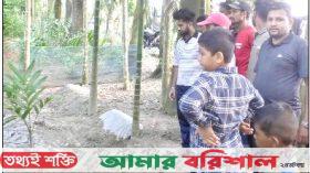 ‘জীবিত আছে’ এমন স্বপ্ন দেখে কবর খোড়া হলো তরুণীর!