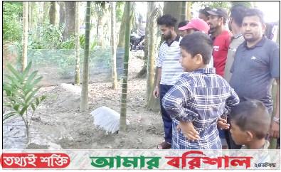‘জীবিত আছে’ এমন স্বপ্ন দেখে কবর খোড়া হলো তরুণীর!