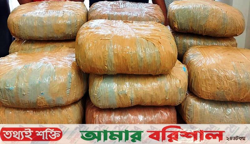 বরিশালে ডিবি পুলিশের অভিযানে ৬৬ কেজি গাঁজা উদ্ধার
