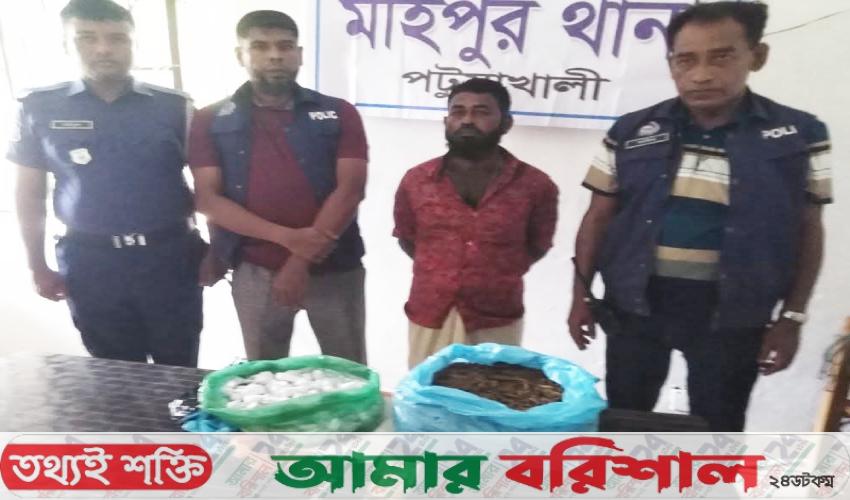 মহিপুরে দেড় কেজি গাঁজাসহ স্বামী-স্ত্রী গ্রেপ্তার, এলাকাজুড়ে চাঞ্চল্য