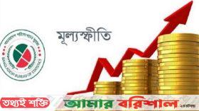 গাড়ি ভাড়া, পণ্যমূল্য এখন অচেনা