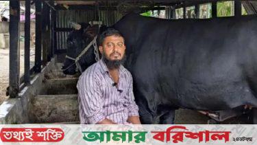 মির্জাগঞ্জে চিহ্নিত সন্ত্রাসী সোহাগ গ্রেফতার