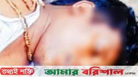 পিরোজপুরে সড়ক দুর্ঘটনায় ওষুধ প্রতিনিধি নিহত