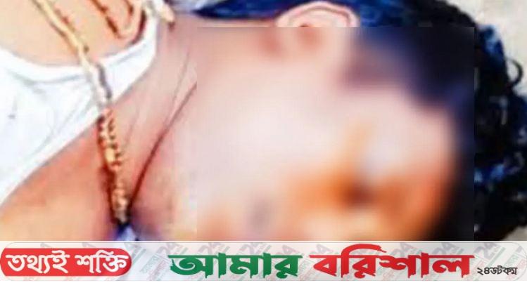পিরোজপুরে সড়ক দুর্ঘটনায় ওষুধ প্রতিনিধি নিহত
