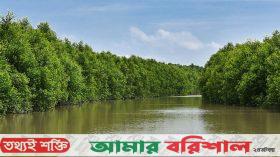 সৌন্দর্যের লীলাভূমি তারুয়া দ্বীপ