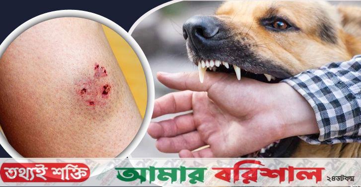 বরিশালে কুকুরের কামড়ে আহত ২৭