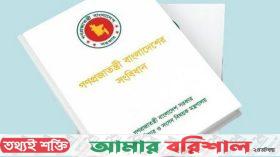 সংবিধান সংস্কার নয়, সংশোধন চায় বিএনপি