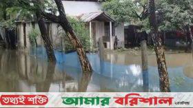 কলাপাড়ায় টানা বৃষ্টিতে পানিবন্দি অনেক পরিবার