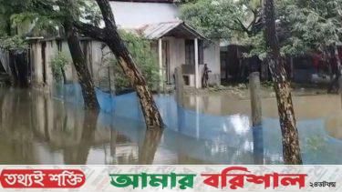 কলাপাড়ায় টানা বৃষ্টিতে পানিবন্দি অনেক পরিবার