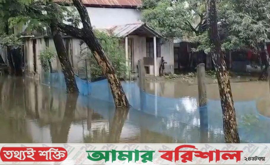 কলাপাড়ায় টানা বৃষ্টিতে পানিবন্দি অনেক পরিবার