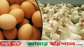 মরিচে স্বস্তি, ডিম-মুরগির দাম নাগালের বাইরে