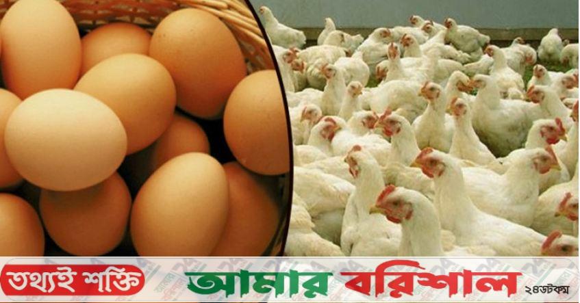 মরিচে স্বস্তি, ডিম-মুরগির দাম নাগালের বাইরে
