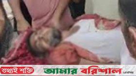 তজুমদ্দিনের মেঘনার চরে বজ্রপাতে জেলের মৃত্যু