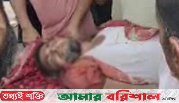 তজুমদ্দিনের মেঘনার চরে বজ্রপাতে জেলের মৃত্যু