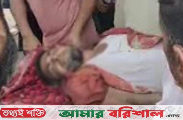তজুমদ্দিনের মেঘনার চরে বজ্রপাতে জেলের মৃত্যু