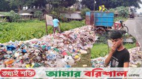 মহাসড়কের পাশে ময়লার ভাগাড়, দুর্গন্ধে অতিষ্ট এলাকাবাসী
