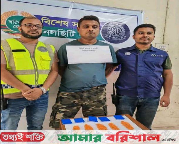 নলছিটিতে ৯৫৩ পিস ইয়াবাসহ এক যুবককে গ্রেপ্তার